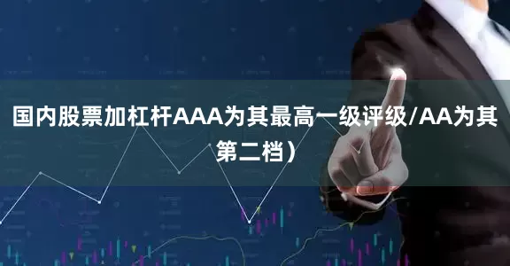国内股票加杠杆AAA为其最高一级评级/AA为其第二档）
