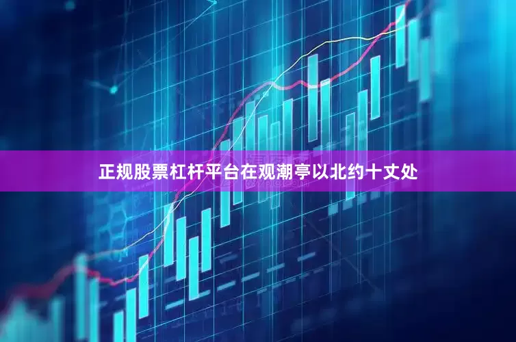 正规股票杠杆平台在观潮亭以北约十丈处