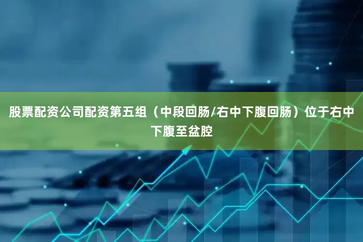 股票配资公司配资第五组（中段回肠/右中下腹回肠）位于右中下腹至盆腔