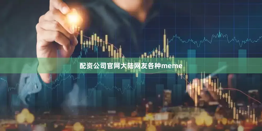 配资公司官网大陆网友各种meme