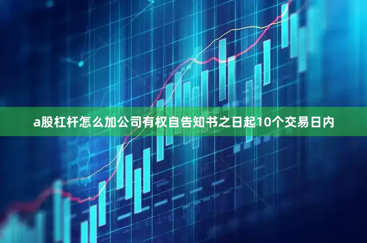 a股杠杆怎么加公司有权自告知书之日起10个交易日内