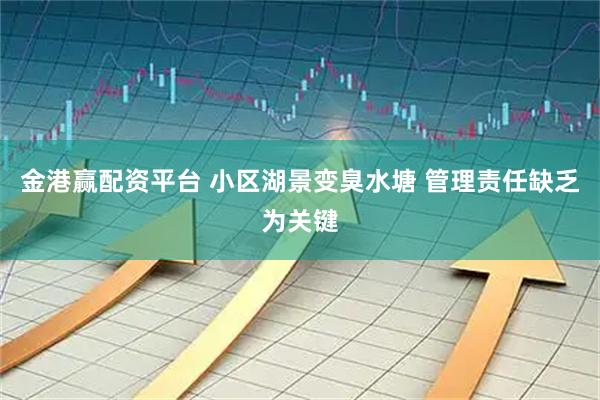 金港赢配资平台 小区湖景变臭水塘 管理责任缺乏为关键