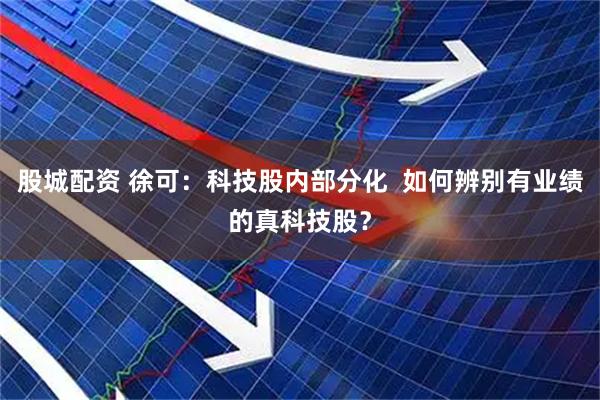 股城配资 徐可：科技股内部分化  如何辨别有业绩的真科技股？