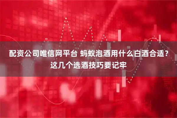 配资公司唯信网平台 蚂蚁泡酒用什么白酒合适？这几个选酒技巧要记牢