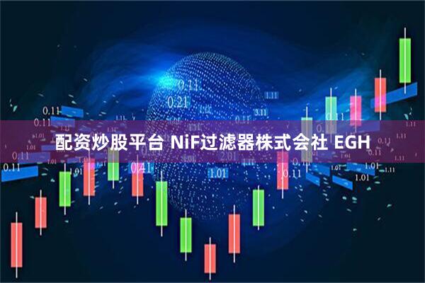 配资炒股平台 NiF过滤器株式会社 EGH